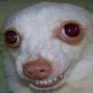 Meet your Posher, Cassidy